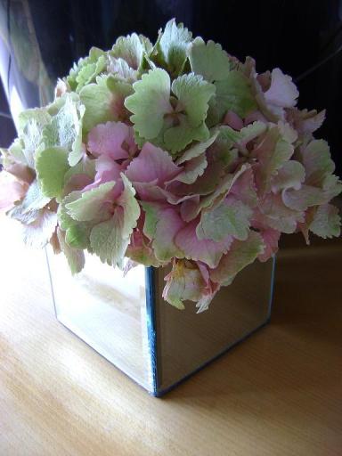 Hydrangea arrangement