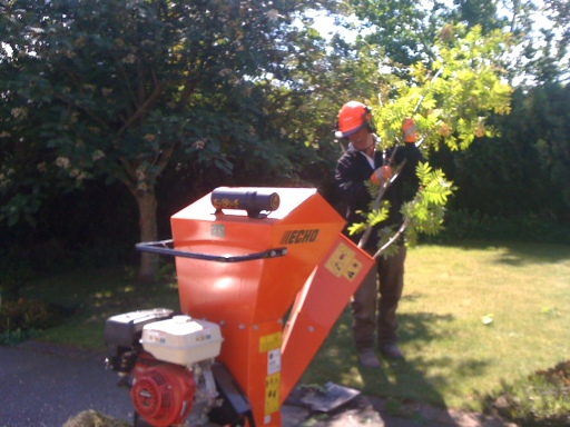 Garden Maintenance