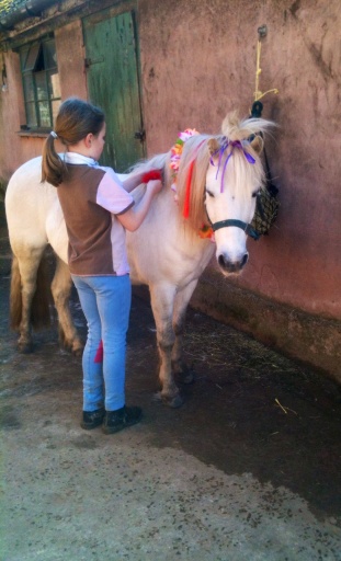 Pony pampering