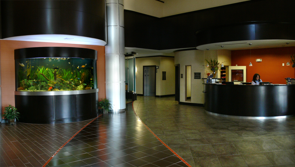 Fish Gallery Dallas 6955 Greenville Ave, Dallas, TX, 752315903