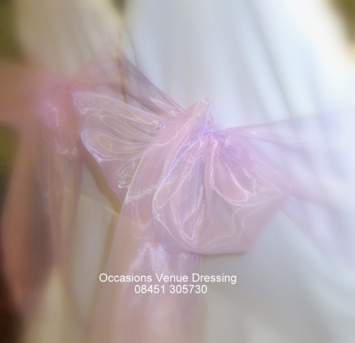 Shimmering organza sashes