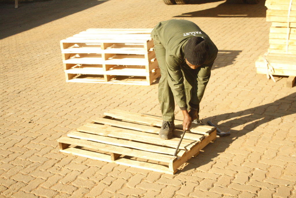 Patch a Pallet Plot 26 Zwartkops, Krugersdorp, 1747