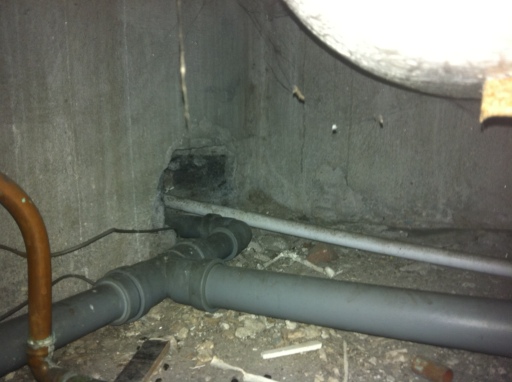 Rat entry point