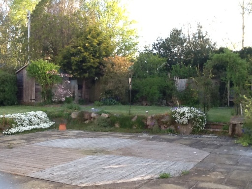 image1