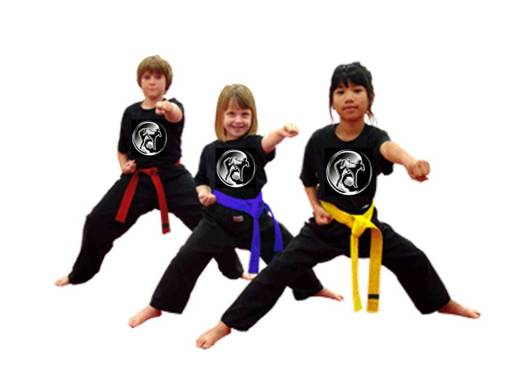 Little Ninjas Age 3-7 years - Maghull Kickboxing and Martial Arts Academy