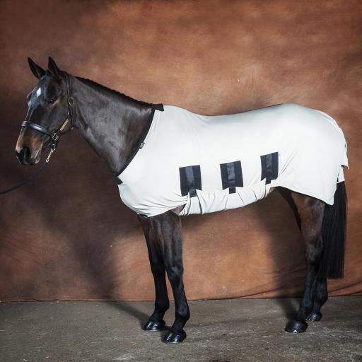 horse clothing