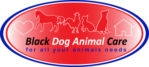 Black Dog Animal Care-Pet Sitting
