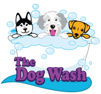 The Dog Wash