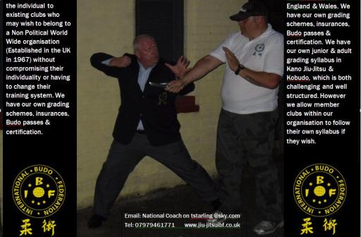 Jiu-Jitsu 'The Original Mixed Martial Art'