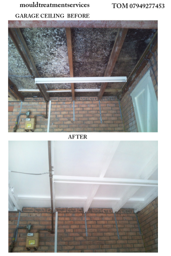 before and after work by www.mouldtreatmentservices.com