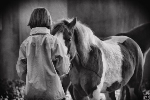 Therapy with horses