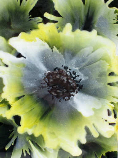 Bloom 1 (Encaustic wax painting by Phil Madley)
