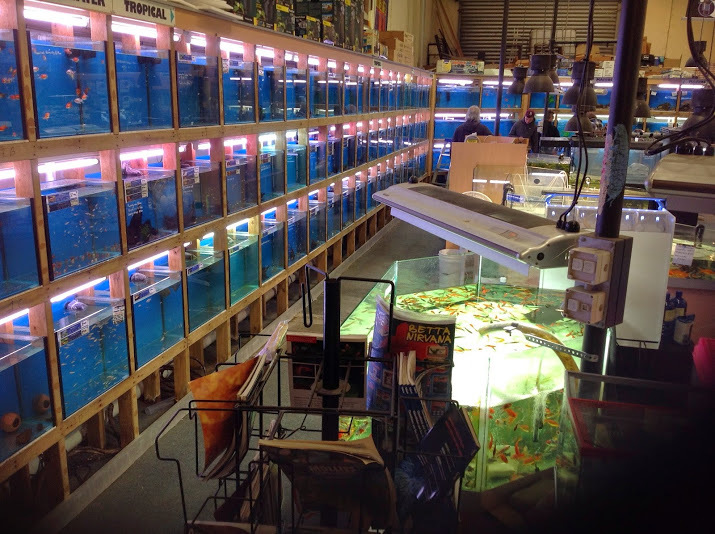 Fish & Feather 243245 Colchester Road, Kilsyth, 3137