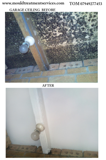 before and after work by www.mouldtreatmentservices.com