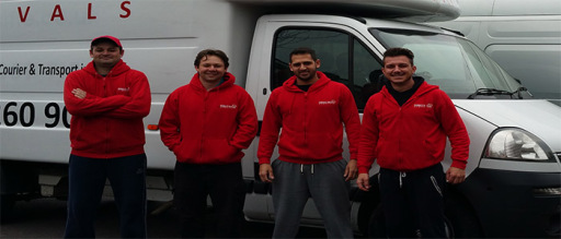 The Team