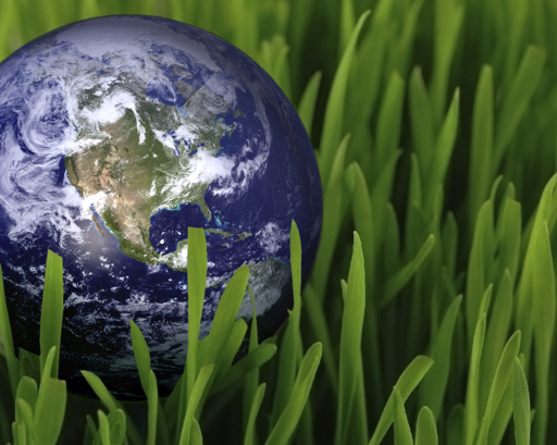 New Earth