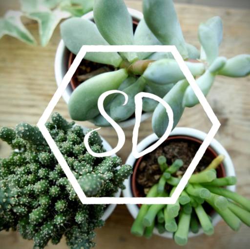 Samuel David Hairdressing Eco Salon Logo
