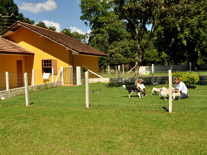 Pet Hotel Curitiba Hotel para Cães Travessa João Ruzenente, 47