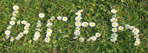Daisy Birthing