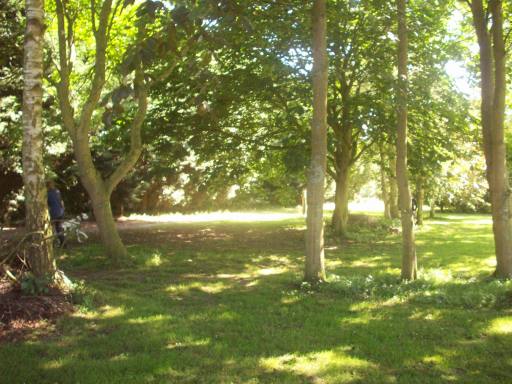 Quiet Acres wooded area for walks