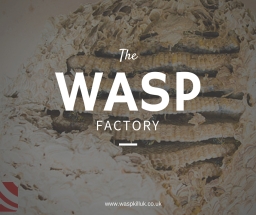 wasp control bristol