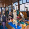 Yoga teacher training certification in Kerala Logo