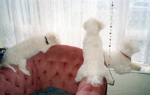 I HOPE AUNTY MARY BUYS US SWEETS FROM THE SHOP