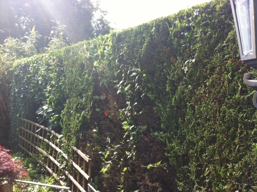 image0