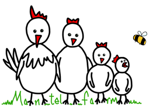 Chickens for sale, beekeeping courses, animal boarding