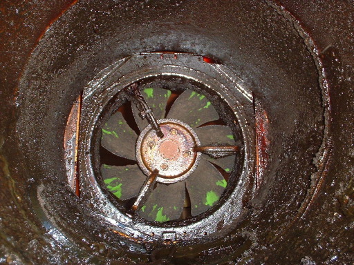 Fan before