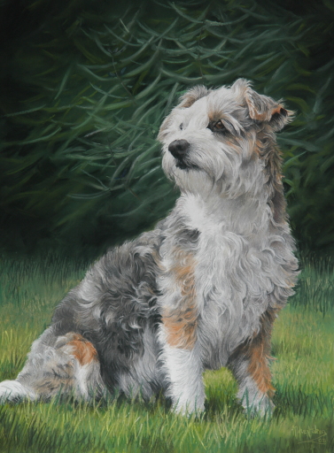 A typical Dog Portrait