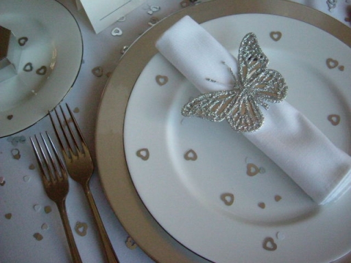 Silver Colour Charger Plate