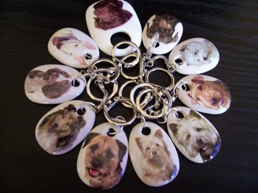 Pet key rings