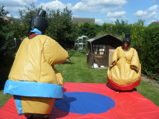 Sumo Suits for hire