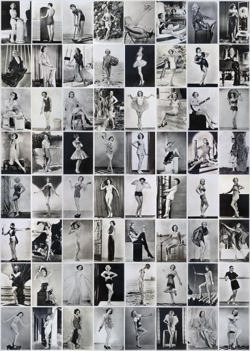 Show Girls! gift-wrap PW69