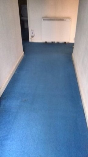Carpet cleaned by Carpet Proclean Scotland