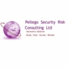 Pellego Security Risk Consulting Ltd