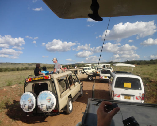 Masai Mara Game Drive