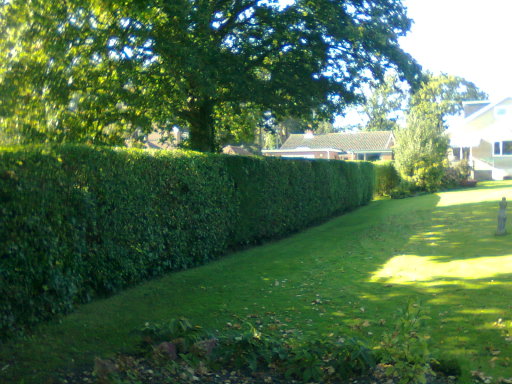 image0