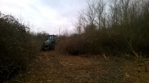 Scrub clearance