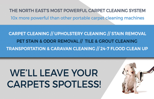 Kleenall for Your Carpet Cleaning Requirements