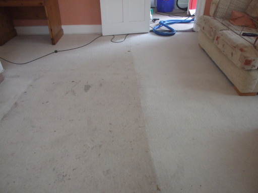 Past it's best carpet? Not once Willclean had been