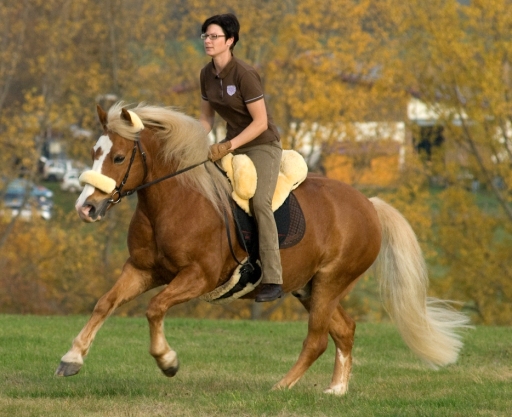 Sheepskin Bareback Riding pad