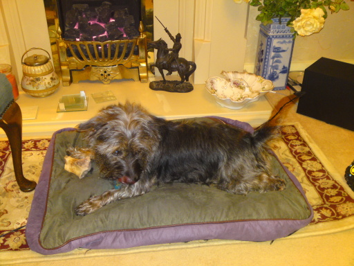 image0