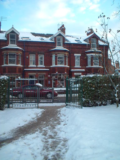from the park