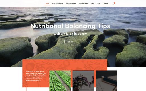 web design
