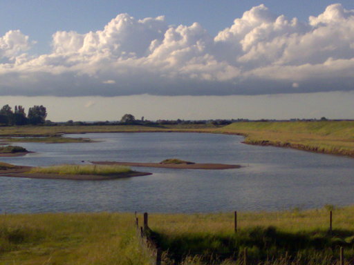RSPB nature reserve next to Plummers Place b&amp;b Boston