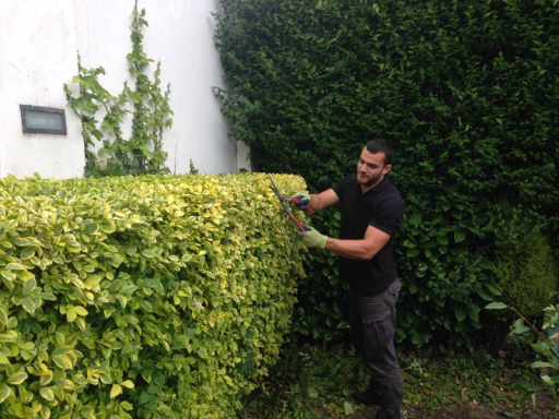 Gardeners