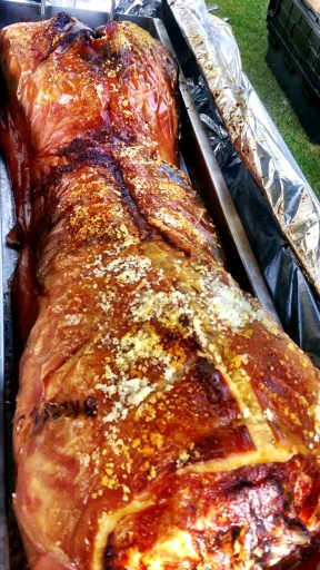 hog roasts