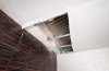 Water Damage Experts of Boca Raton